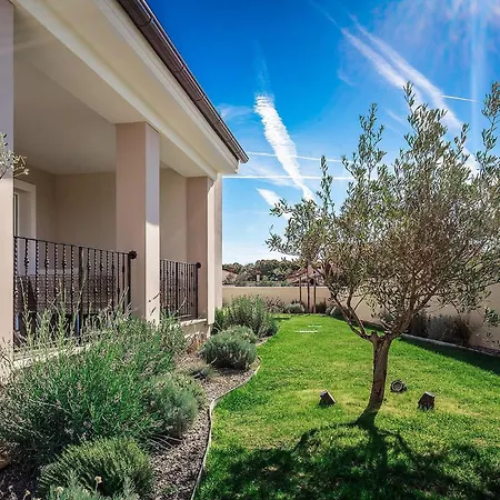 Tempera Nyaraló Póla